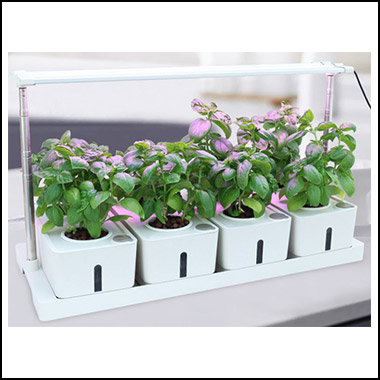 Hydroponik med 4 plante kasser på et bord